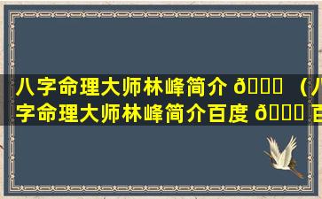 八字命理大师林峰简介 💐 （八字命理大师林峰简介百度 🐕 百科）